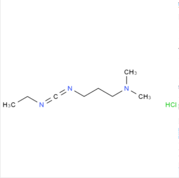 1-(3-Dimethylaminopropyl)-3-ethylcarbodiimide hydrochloride