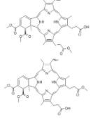 Verteporfin